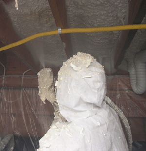 Langley VA crawl space insulation